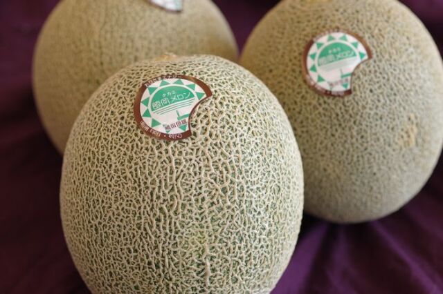 飯岡タカミメロン通信販売 千葉産。貴味メロンを販売取寄！果物お中元ギフトに。