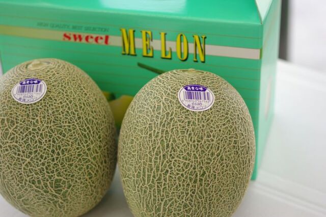 飯岡タカミメロン通信販売 千葉産。貴味メロンを販売取寄！果物お中元