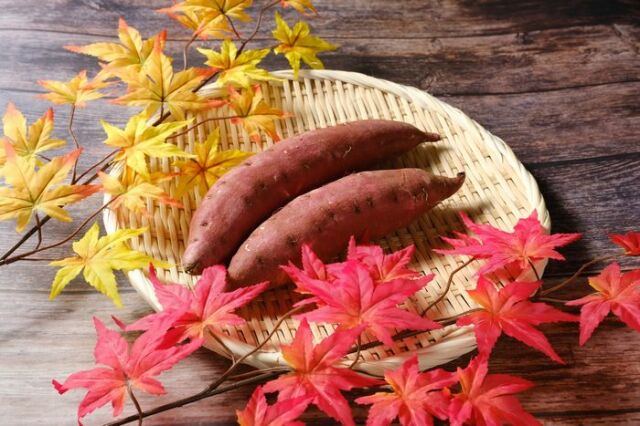 里むすめ通販 徳島県 さつまいも 品種 なると金時 販売 5kg M〜L