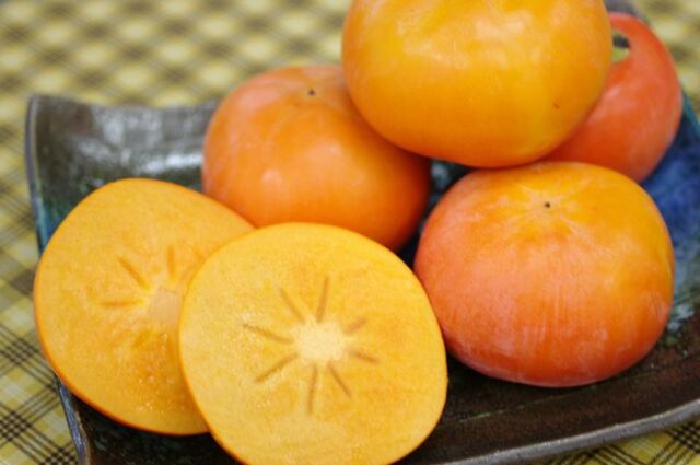 山梨県石和の富有柿通販 甘柿を代表するふゆう柿を販売取寄。Ｌ〜2Ｌサイズ 石和ブランド 山梨県笛吹石和支所