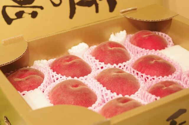 桃通販の果物店。お中元桃のギフトに厳選してます