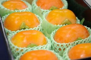次郎柿 じろうがき 通販 静岡県浜北の甘柿治郎柿を販売取寄 小箱 約8玉 次郎柿 じろうがき 通販 静岡県浜北の甘柿治郎柿を販売取寄 小箱 約8玉