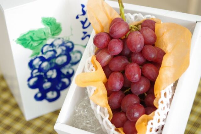 甲斐路（かいじ）葡萄通信販売 糖度の高い別名赤いマスカットを販売取寄。