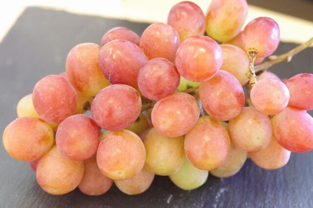 ぶどう  超希少  アウローラ21  紫苑しえん シャインマスカット ナガノパー 🍇秋ギフト🍇【幻の牧丘天空マスカットノワール】市場で
