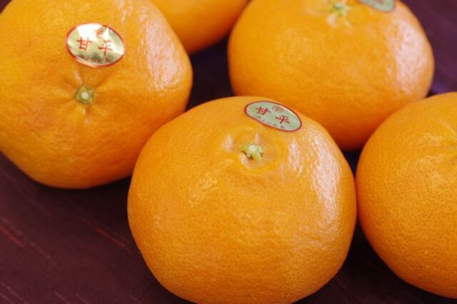 プーページ 甘平 愛媛県産みかん 品種：甘平 7kg | みかん専門通販