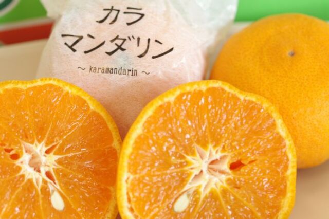 カラマンダリンオレンジ取寄販売 春みかんと呼ばれるカラーを