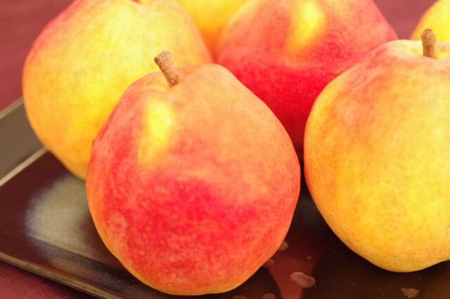 西洋梨カリフォルニア通信販売 赤く色づく珍しい洋梨を取寄。