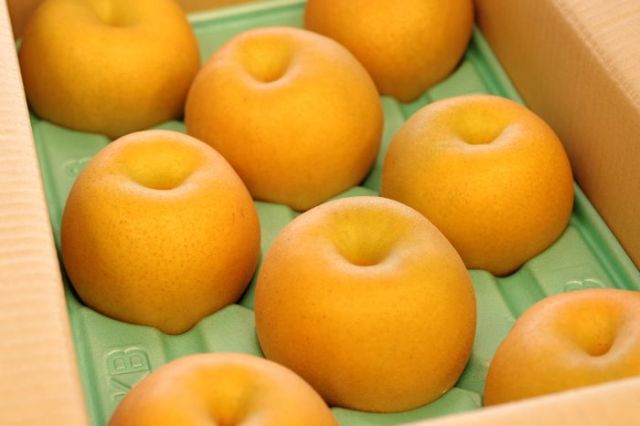 恵水梨(けいすいなし)販売 茨城県オリジナル品種の和梨を通販で取寄せ。