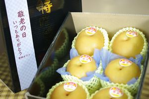 敬老の日 和梨ギフト 幸水・豊水・他品種 おじいちゃん・おばあちゃんに果物プレゼント 約5玉〜約6玉