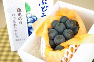 敬老の日ナガノパープル葡萄ギフト通販 おじいちゃん・おばあちゃんに果物プレゼント。1房 長野産