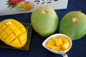 キーツマンゴー取寄販売 幻のグリーンマンゴーを通販で。超特大