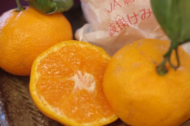 紀の里袋掛けみかん販売 和歌山の木成り完熟みかんを通販で取寄せ 約3ｋｇ 約30玉 約50玉 御歳暮には不向きです 御年賀みかん