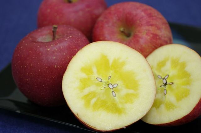 青森県ふじりんご販売 こだわり篤農家 御歳暮林檎 中箱 約7玉〜約9玉