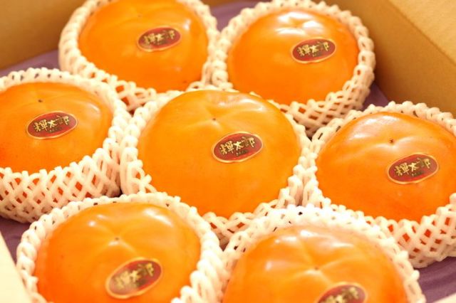 輝太郎柿(きたろうがき)通販 鳥取県の早生柿で大玉品種を販売　約7玉〜約9玉