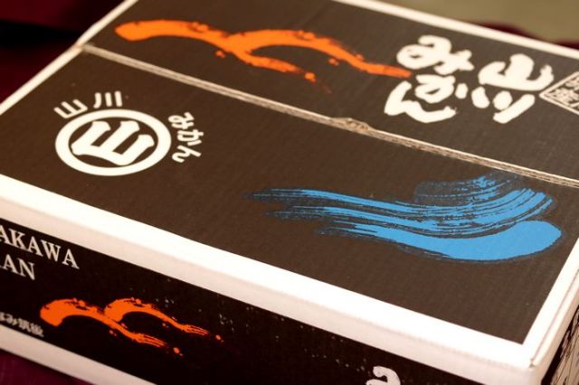 山川みかん 北原早生, 本当に 美味しい, ✨黒箱✨入荷しました, まさに