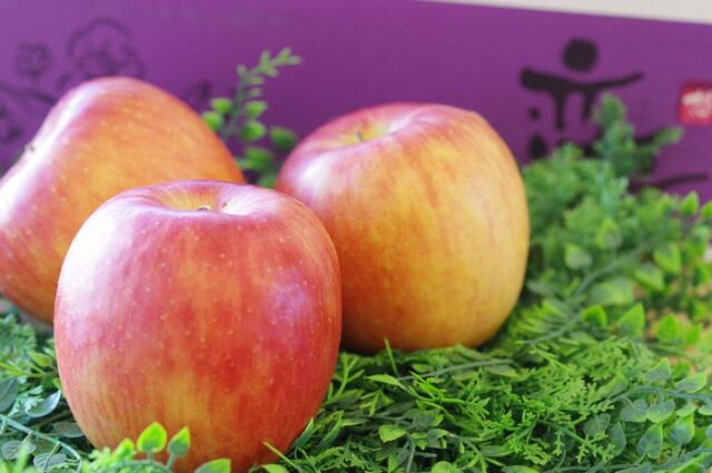 恋桜りんご 糖度14度「傷ついた恋」奥州ロマン林檎 岩手県産