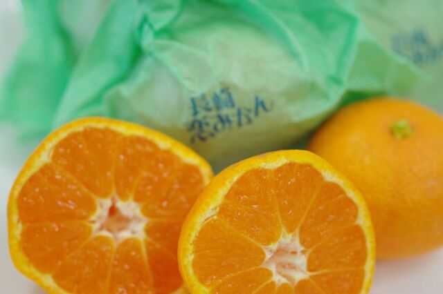 長崎恋みかん通販 袋掛けの越冬みかん販売 お取り寄せに