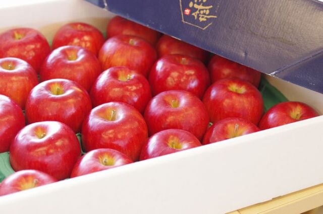 恋桜りんご 糖度16度「満開の恋」奥州ロマン林檎 岩手県産 5kg 約13玉〜約23玉