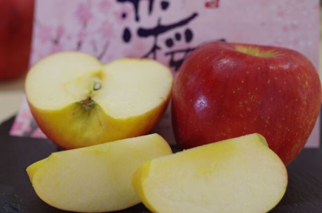恋桜りんご 糖度16度「満開の恋」奥州ロマン林檎 岩手県産 5kg 約13玉