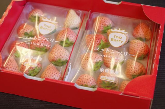 コットンベリー いちご 約250g×2P 奈良県の白苺