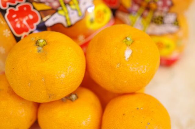 小太郎くんみかん通販 傷・擦れ・サイズ混合・正規品より品質落ちます  愛媛県川上共選の越冬みかん販売 約20個