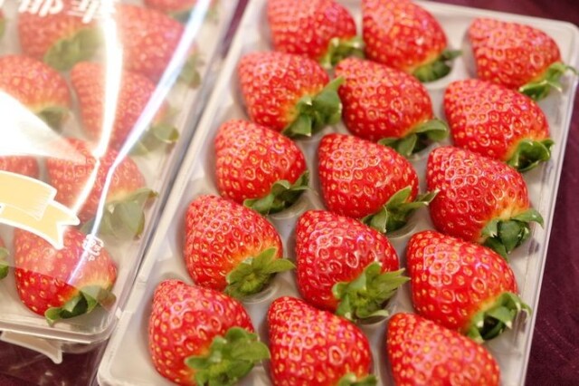 古都華いちご（ことか）約8粒〜約15粒 2Ｐ入 奈良県産の苺