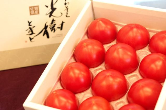 光樹とまと販売 こうじゅトマト佐賀県産を通販お取り寄せ 等級「秀品」約10玉〜約16玉