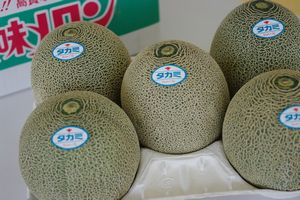 タカミメロンお取り寄せ販売 熊本産 通販で熊本貴味メロンを 果物ギフトに 約5ｋ 4玉 5玉