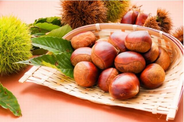 愛媛の栗通販 約1ｋｇ　2Ｌ〜4Ｌ