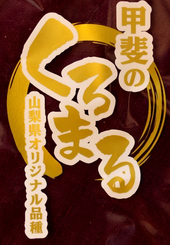 甲斐のくろまるぶどう通販 山梨県の黒系品種葡萄 お取り寄せ販売 約
