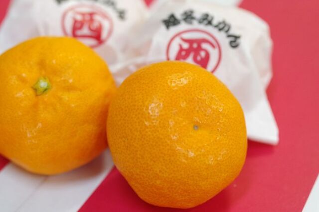 香川県 マル西 越冬みかん 約15玉~約25玉