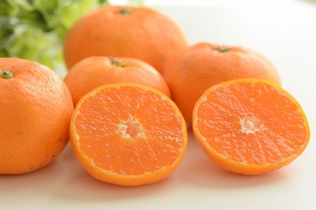 みはまっこ　ハウスみかん 約2.5ｋｇ糖度13度以上！ 【愛知県産】