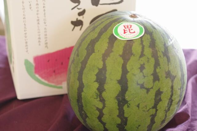 三浦すいかL〜4L【神奈川県産】