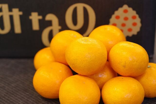 特秀みかん　みなの　(旧)媛美月販売 お歳暮愛媛みかん通販で取寄 JA共選 5ｋｇ Ｓ～Ｌ