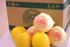 愛媛　美生柑（みしょうかん）通販 和製グレープと呼ばれる河内晩柑を販売取寄。愛媛県産