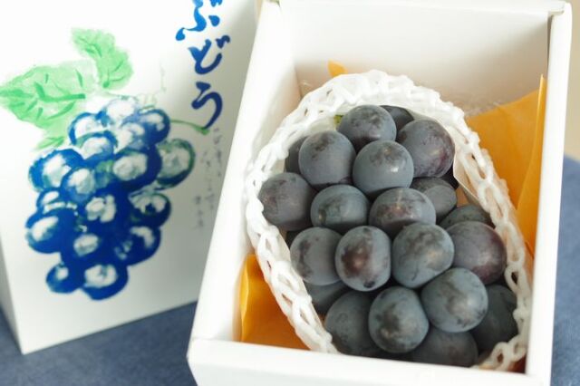 ナガノパープル葡萄通販 長野県産。種なし皮ごと食べられるぶどうを
