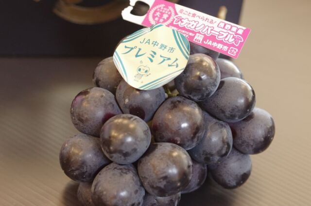 プレミアムＪＡ中野市 ナガノパープル葡萄通販 長野県産。種なし皮ごと食べられるぶどうを販売取寄。