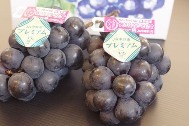 プレミアムJA中野市 ナガノパープル葡萄通販 長野県産。種なし