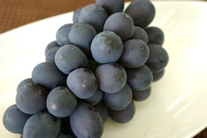 7/上旬から8/下旬頃までに到着。御中元ナガノパープル葡萄通販 長野産。種なし皮ごと食べられるハウス栽培ぶどうを販売取寄。1房 約500ｇ 長野産