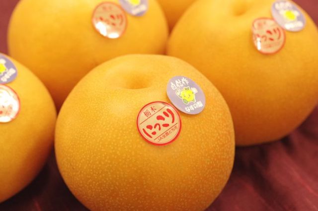 にっこり梨 等級「自信作」通販 糖度13度以上 栃木オリジナルの大玉系