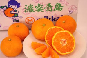 貯蔵三ヶ日濃蜜青島みかん販売 熟成みかんを通販で取寄。糖度12度以上 約5kg Ｓ〜2Ｌ 静岡県産