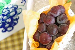 オーロラブラック葡萄通販 岡山種なし黒ぶどうを販売。果物ギフトに。 岡山産