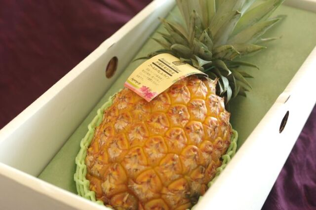 沖縄ゴールドバレルパイン 1本 約1ｋｇ 沖縄県産