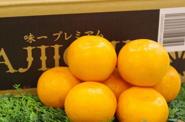 ミカン様 味一みかん プレミアム 糖度13度以上 和歌山県 5kg S〜L
