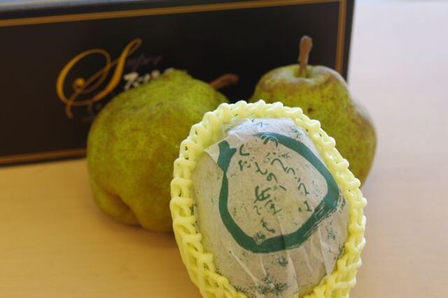 スーパーラフランス通販 山形県天童市の糖度14度のお歳暮ラフランスを取寄。