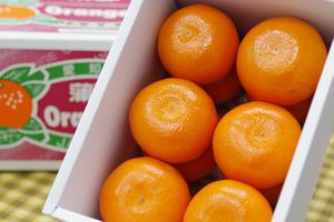 麗紅柑れいこうかん通販 せとかと同じ交配品種の柑橘を販売取寄。小箱 愛知・他産地