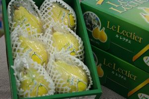 お歳暮ルレクチェ通販 新潟県特産の西洋梨レクチェを販売取寄。約2ｋｇ 約5玉〜約7玉