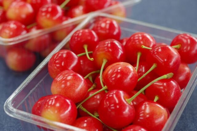 父の日さくらんぼギフト通信販売 山形佐藤錦をお父さんに