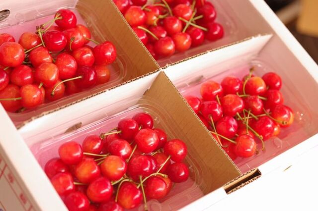 佐藤錦さくらんぼ フードパック 約400g 約800g Lサイズ 山形県