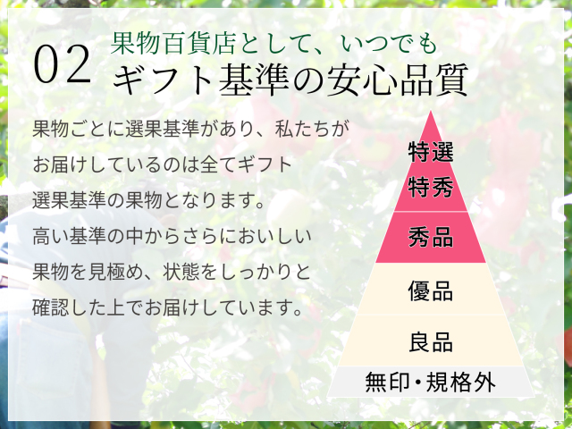 匠の味 せとか マルナン 長崎県産 約2kg 約5玉〜約8玉